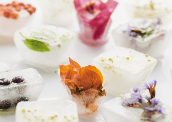 flowers-plants-ice-cubes